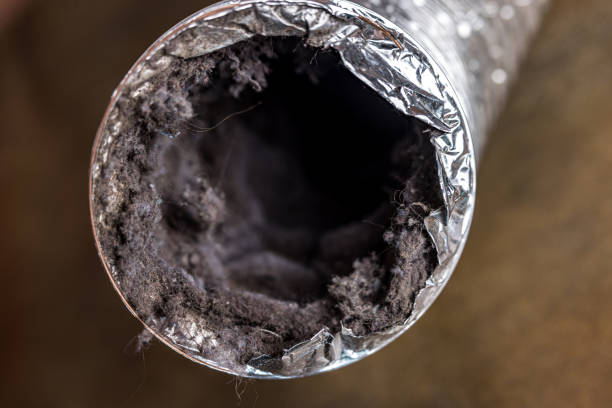 Best Ventilation Cleaning Services  in Rosenberg, TX