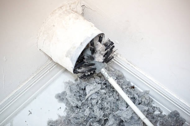 Best HVAC Duct Inspection Services  in Rosenberg, TX